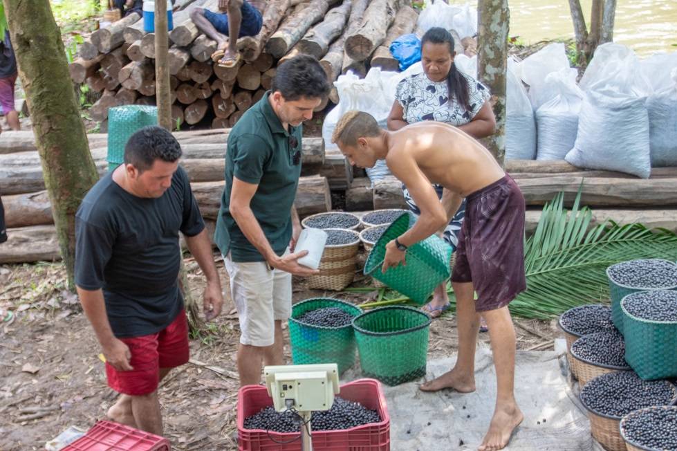 Direct açaí sourcing by Tagenta in a local community in Abaetetuba, Pará